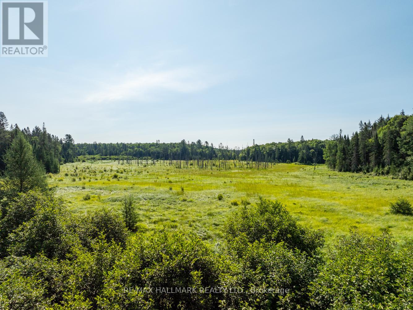 1650 Hekkla Road, Muskoka Lakes, Ontario  P0C 1J0 - Photo 22 - X9769681