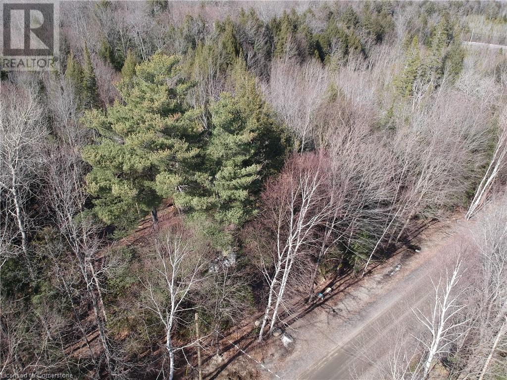 50 Concession 2 And 3 Road W, Huntsville, Ontario  P1H 2J3 - Photo 2 - 40671056