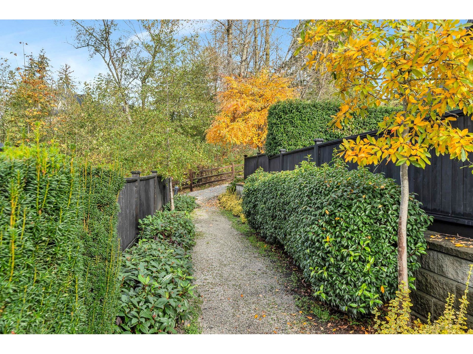5 7979 152 Street, Surrey, British Columbia  V3S 7S7 - Photo 34 - R2937144