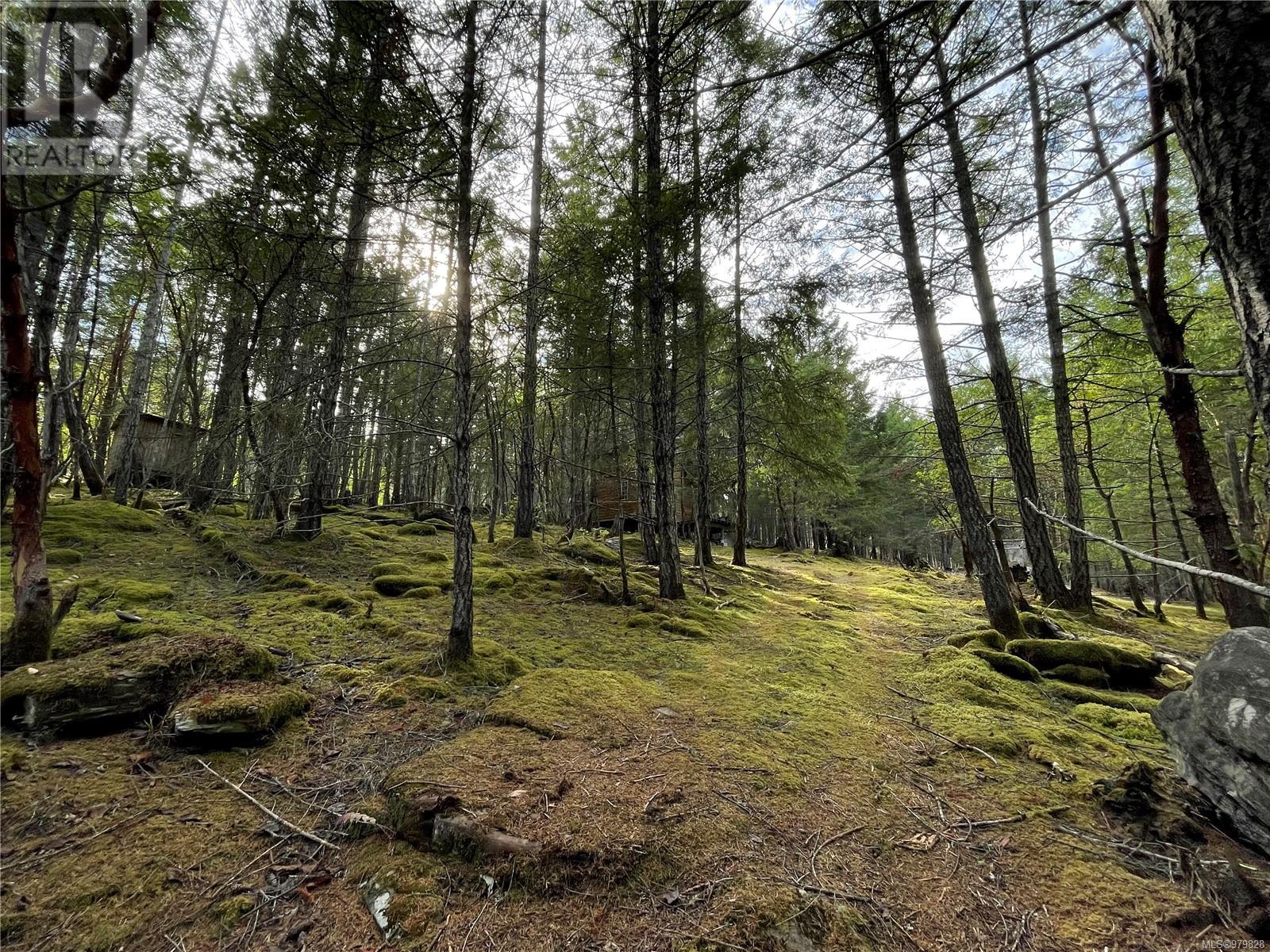 Lot 32 View Ridge Rd, Mudge Island, British Columbia  A1A 1A1 - Photo 6 - 979828