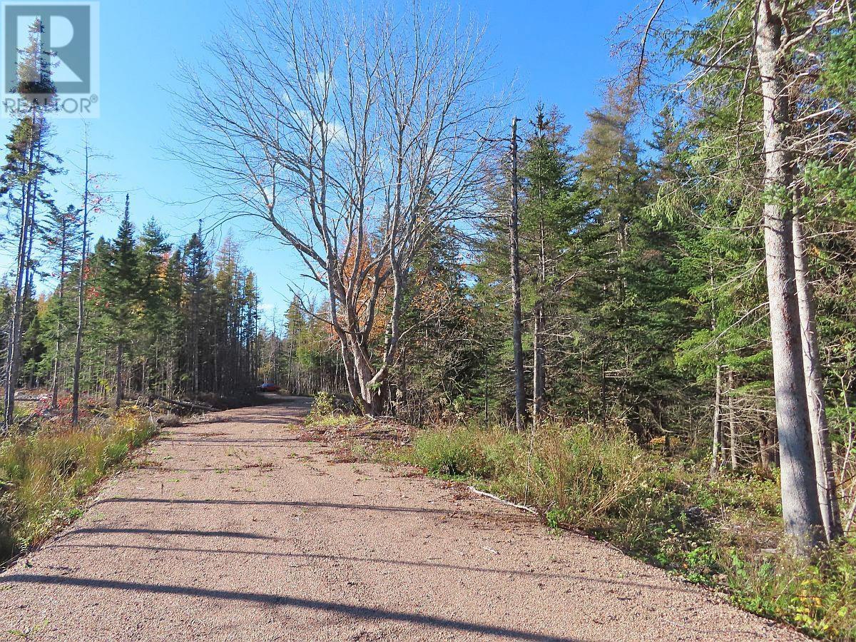 Lot 8 #4 Highway (Lower River Road) Road, Cleveland, Nova Scotia