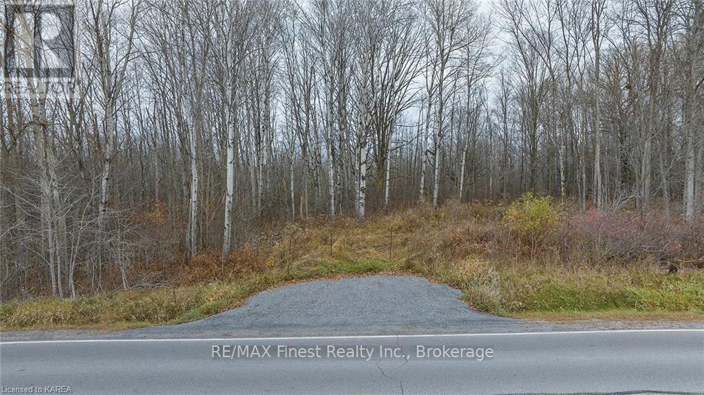 Lot 2 County Road 14, Stone Mills, Ontario  K0K 1Z0 - Photo 1 - X9410311