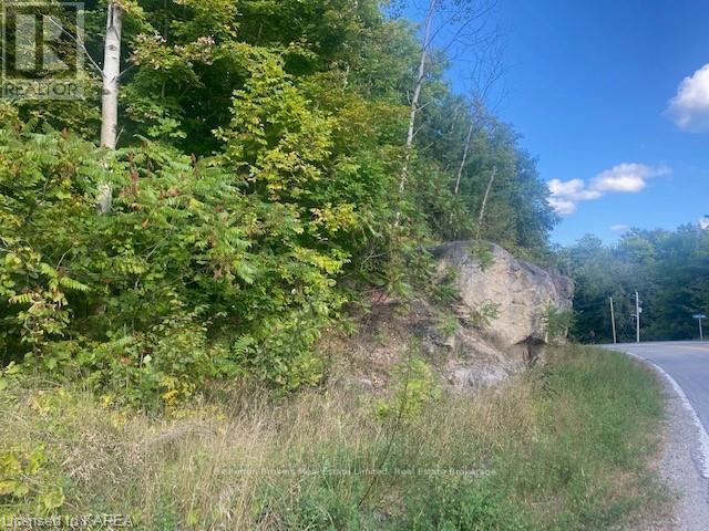 Lot Jones Falls Road, Rideau Lakes, Ontario  K0G 1E0 - Photo 10 - X9410552