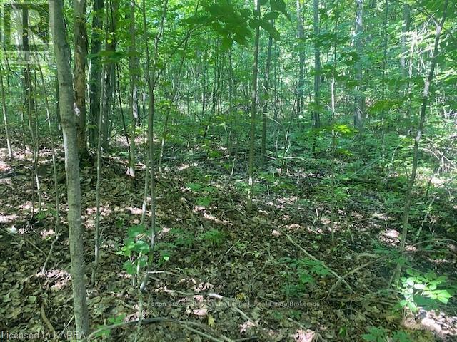 Lot Jones Falls Road, Rideau Lakes, Ontario  K0G 1E0 - Photo 19 - X9410552