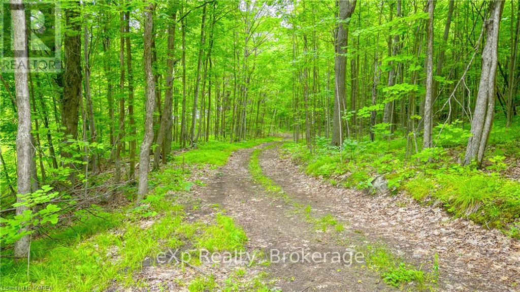 Lt 12 Devil Lake Road, South Frontenac, Ontario  K0G 1X0 - Photo 16 - X9410630