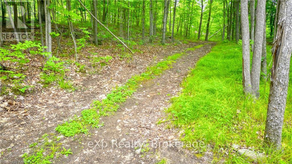 Lt 12 Devil Lake Road, South Frontenac, Ontario  K0G 1X0 - Photo 17 - X9410630