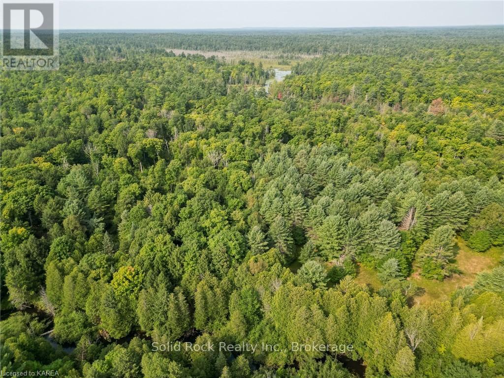 Pt Lt 2 41, Addington Highlands, Ontario  K0H 2G0 - Photo 16 - X9410813