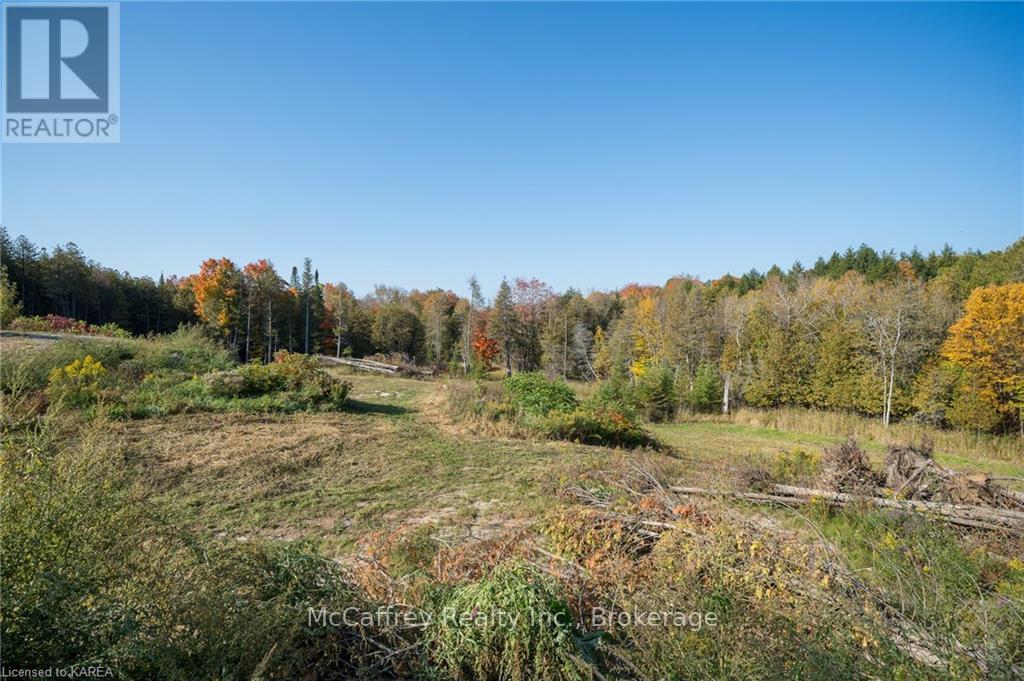 3499 Deloro Road, Madoc, Ontario  K0K 1Y0 - Photo 11 - X9411454