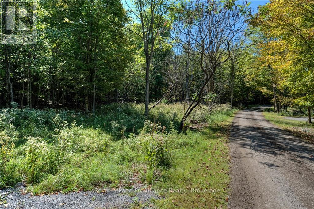 Pt Lt 20 Dr  John Lane, Rideau Lakes, Ontario  K0G 1E0 - Photo 18 - X9411546