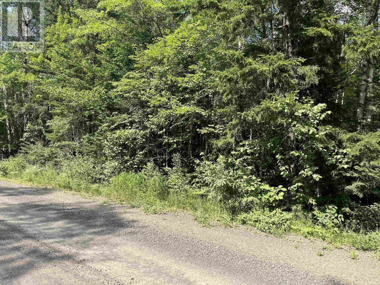 Property at 5 Lot 5 Butler Road Road image