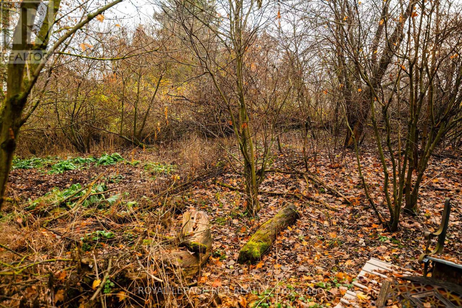 Lt 10 Blk 3 Pl 4a 7r1210, Amaranth, Ontario  L9W 3Z3 - Photo 8 - X9770462