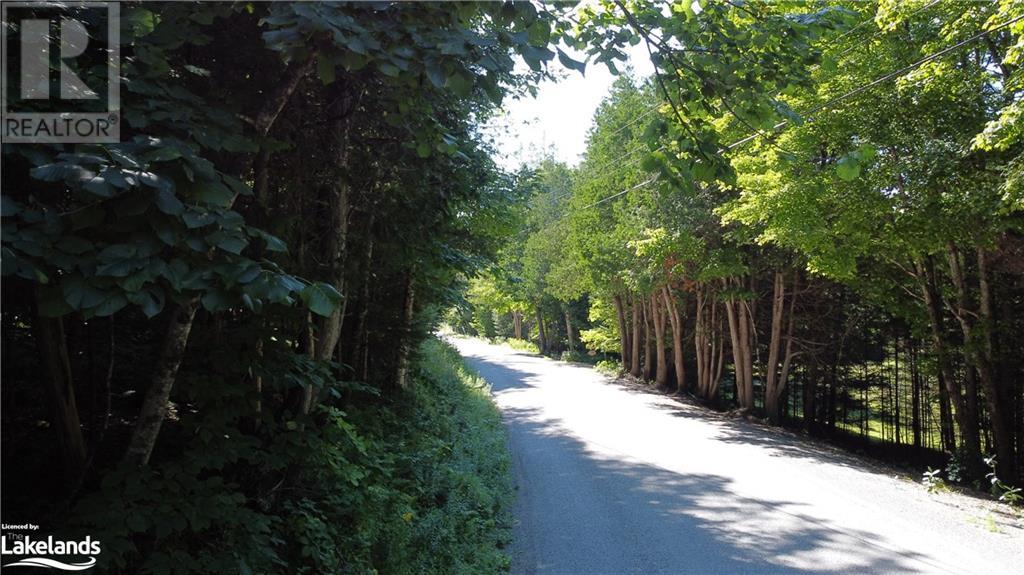 0 Fred Jones Road, Haliburton, Ontario  K0M 1S0 - Photo 1 - 40670972