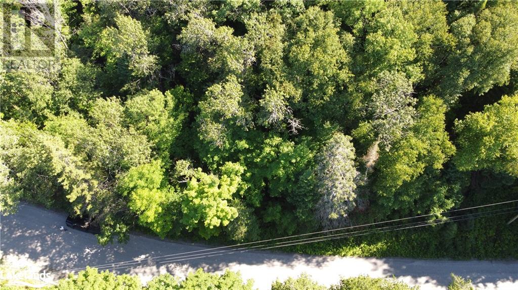 0 Fred Jones Road, Haliburton, Ontario  K0M 1S0 - Photo 14 - 40670972