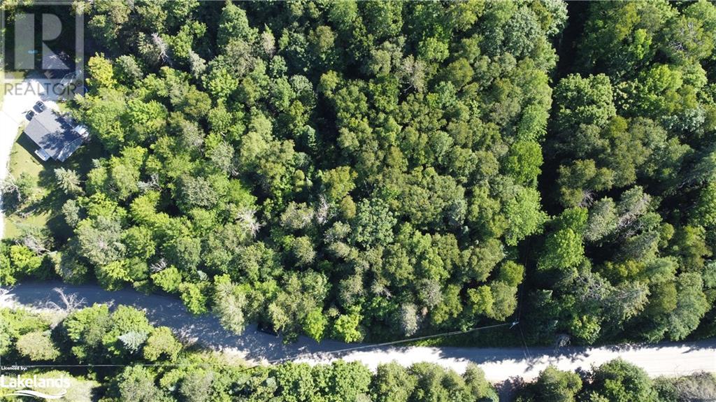 0 Fred Jones Road, Haliburton, Ontario  K0M 1S0 - Photo 15 - 40670972