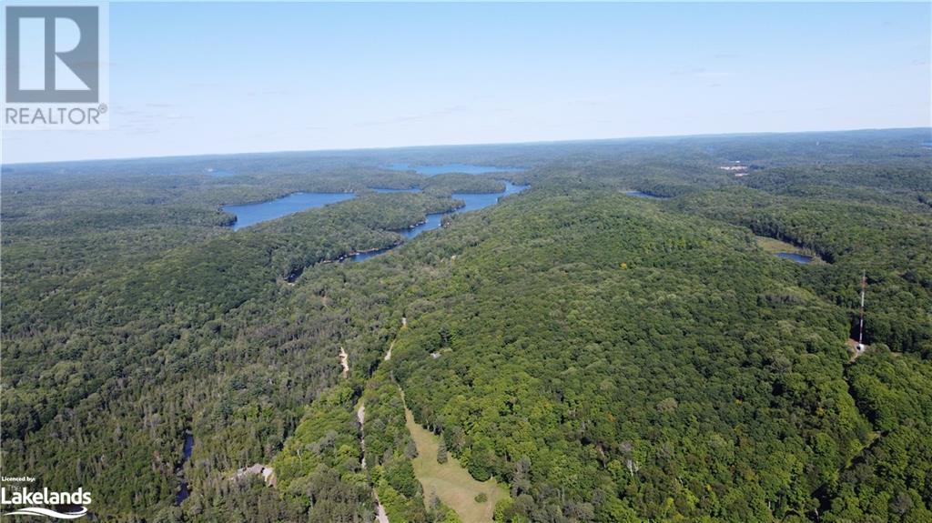 0 Fred Jones Road, Haliburton, Ontario  K0M 1S0 - Photo 17 - 40670972