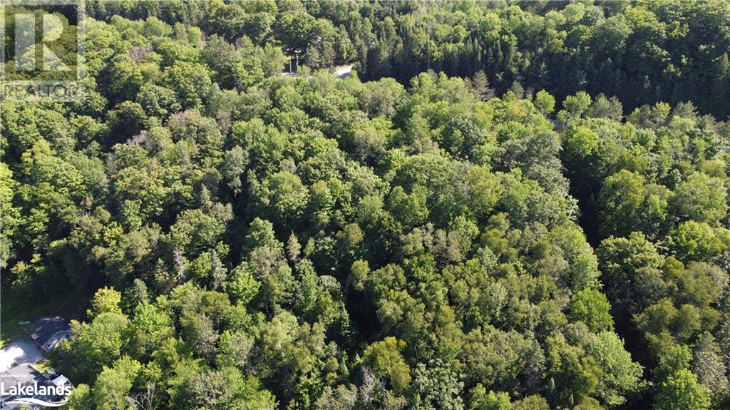 0 Fred Jones Road, Haliburton, Ontario  K0M 1S0 - Photo 22 - 40670972