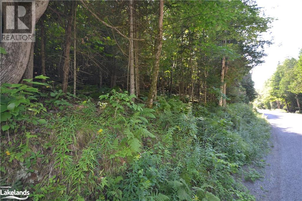 0 Fred Jones Road, Haliburton, Ontario  K0M 1S0 - Photo 3 - 40670972