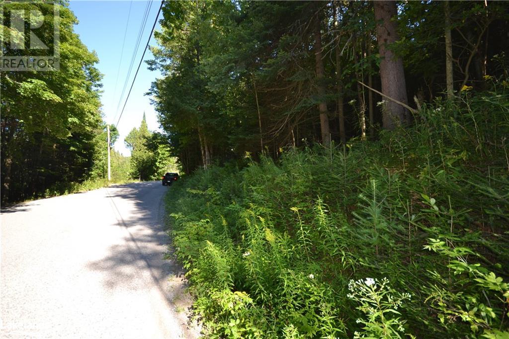 0 Fred Jones Road, Haliburton, Ontario  K0M 1S0 - Photo 7 - 40670972