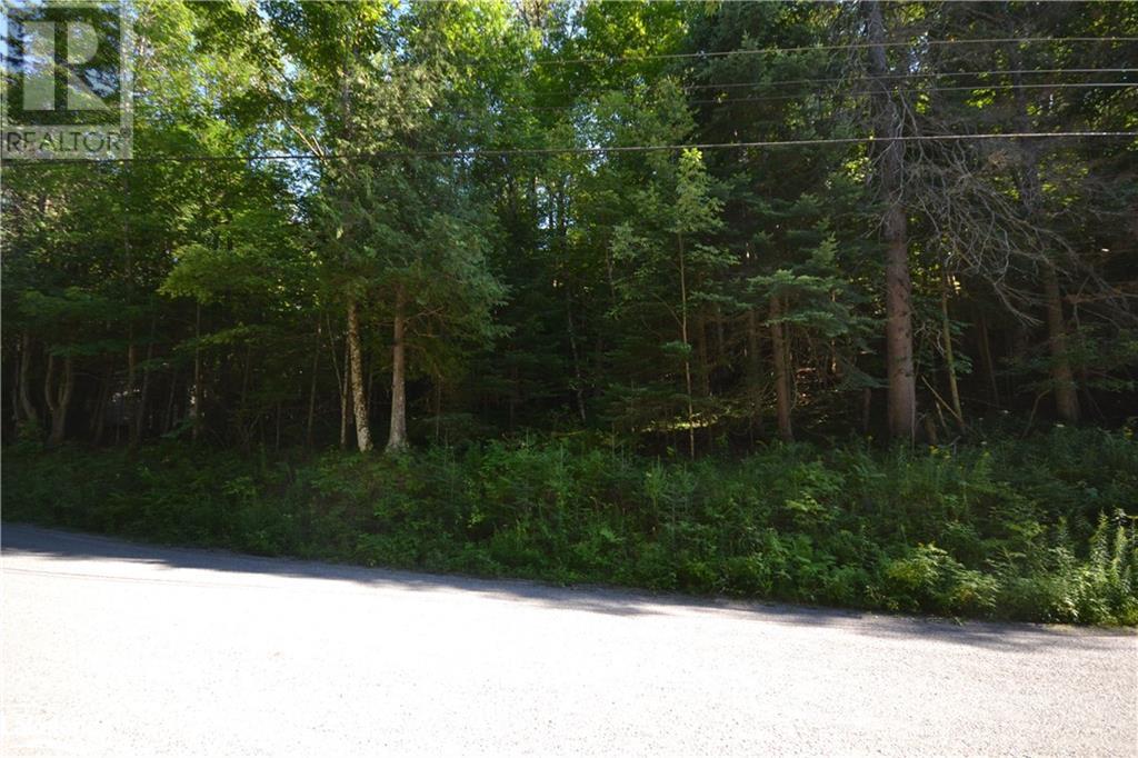 0 Fred Jones Road, Haliburton, Ontario  K0M 1S0 - Photo 8 - 40670972