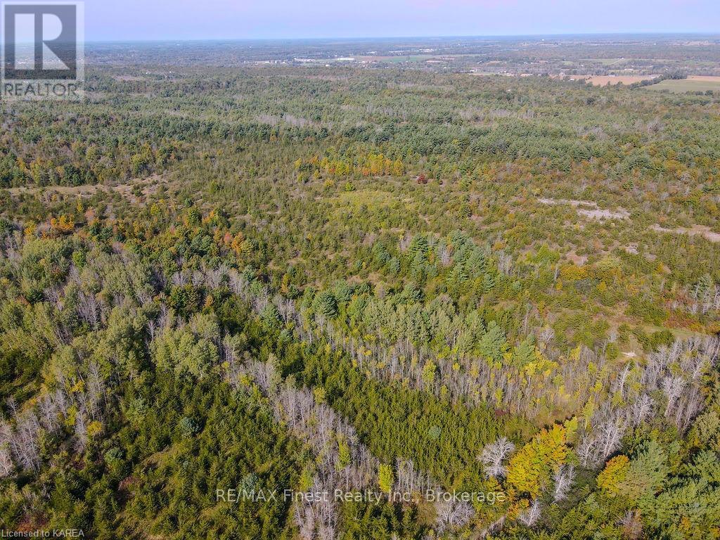 Pt Lt G Concession Gore, Stone Mills, Ontario  K0K 0C4 - Photo 13 - X9412561