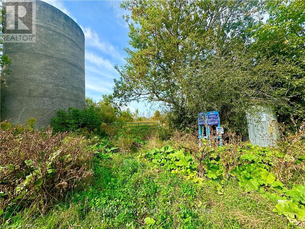 Pt Lt G Concession Gore, Stone Mills, Ontario  K0K 0C4 - Photo 6 - X9412561