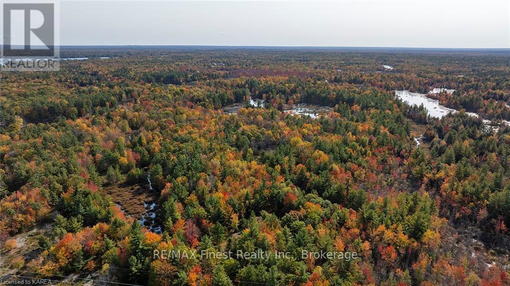 1395 Oak Flats Road, Central Frontenac, Ontario  K0H 1T0 - Photo 12 - X9420051