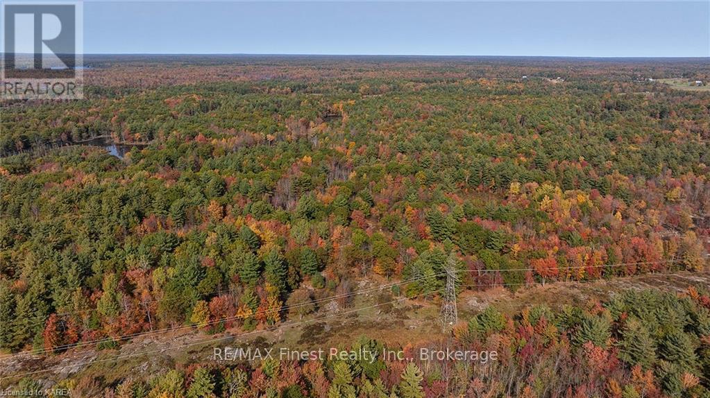 1395 Oak Flats Road, Central Frontenac, Ontario  K0H 1T0 - Photo 14 - X9420051