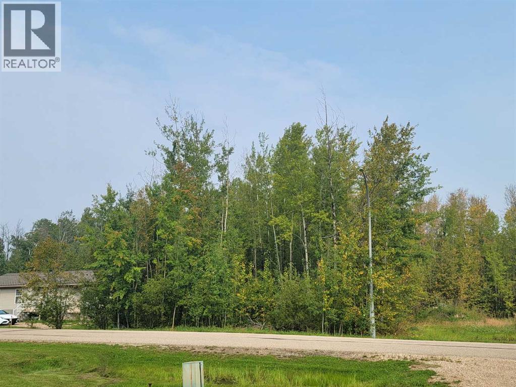 Lorem Ipsum Dolor, Wandering River, Alberta  T0A  - Photo 4 - DEMO26033698