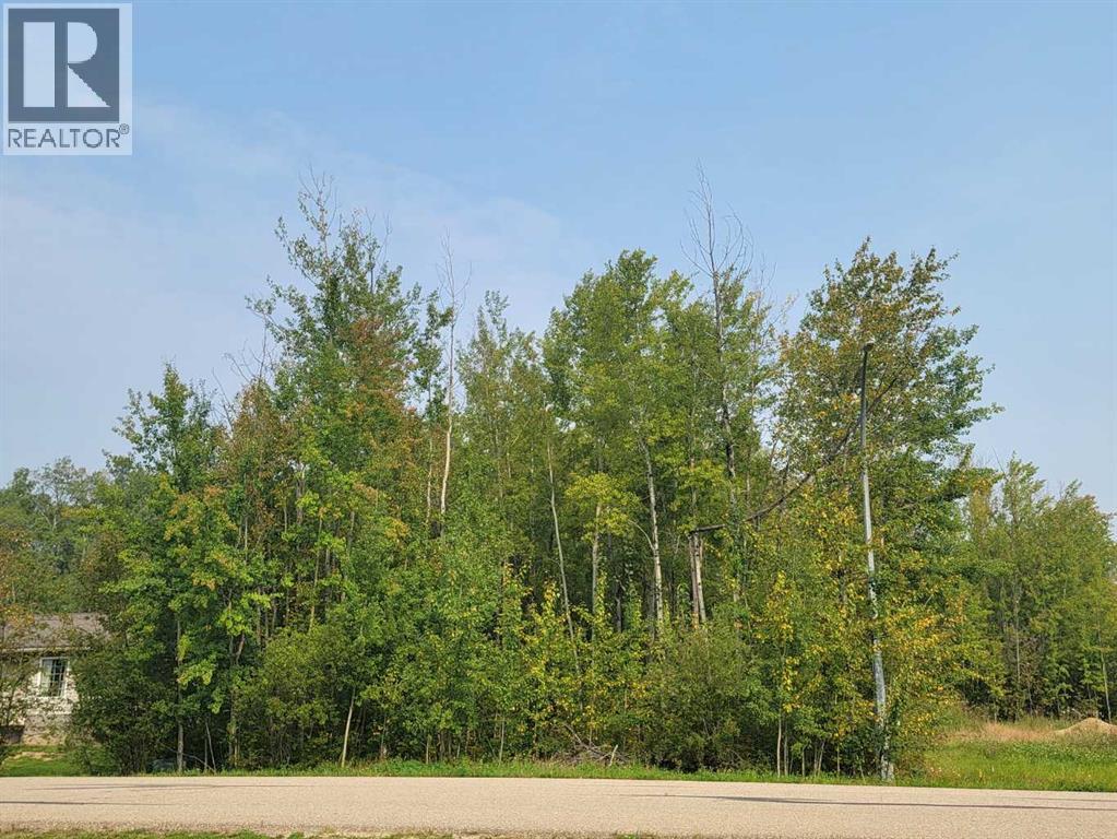 Lorem Ipsum Dolor, Wandering River, Alberta  T0A  - Photo 5 - DEMO26033698