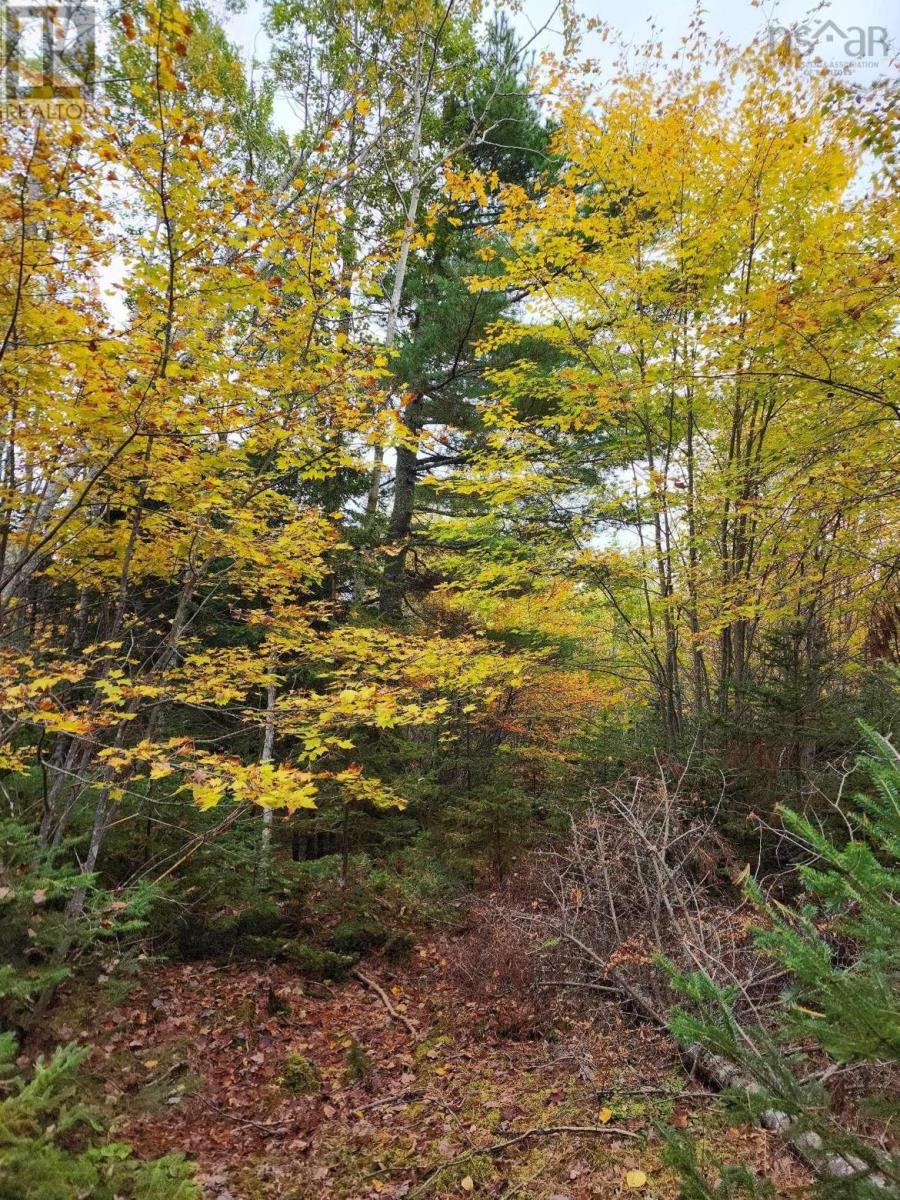 Lot 3b Highway 4, Telford, Nova Scotia  B0K 1G0 - Photo 10 - 202425762