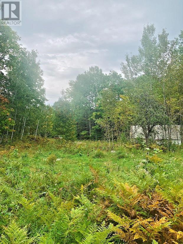 20675 Highway 540 Highway, Silver Water, Ontario  P0P 1Y0 - Photo 8 - 2119742