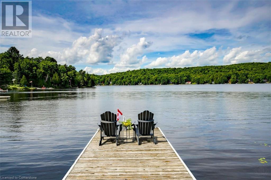 889 Bay Lake Road, Emsdale, Ontario  P0A 1J0 - Photo 2 - 40660512