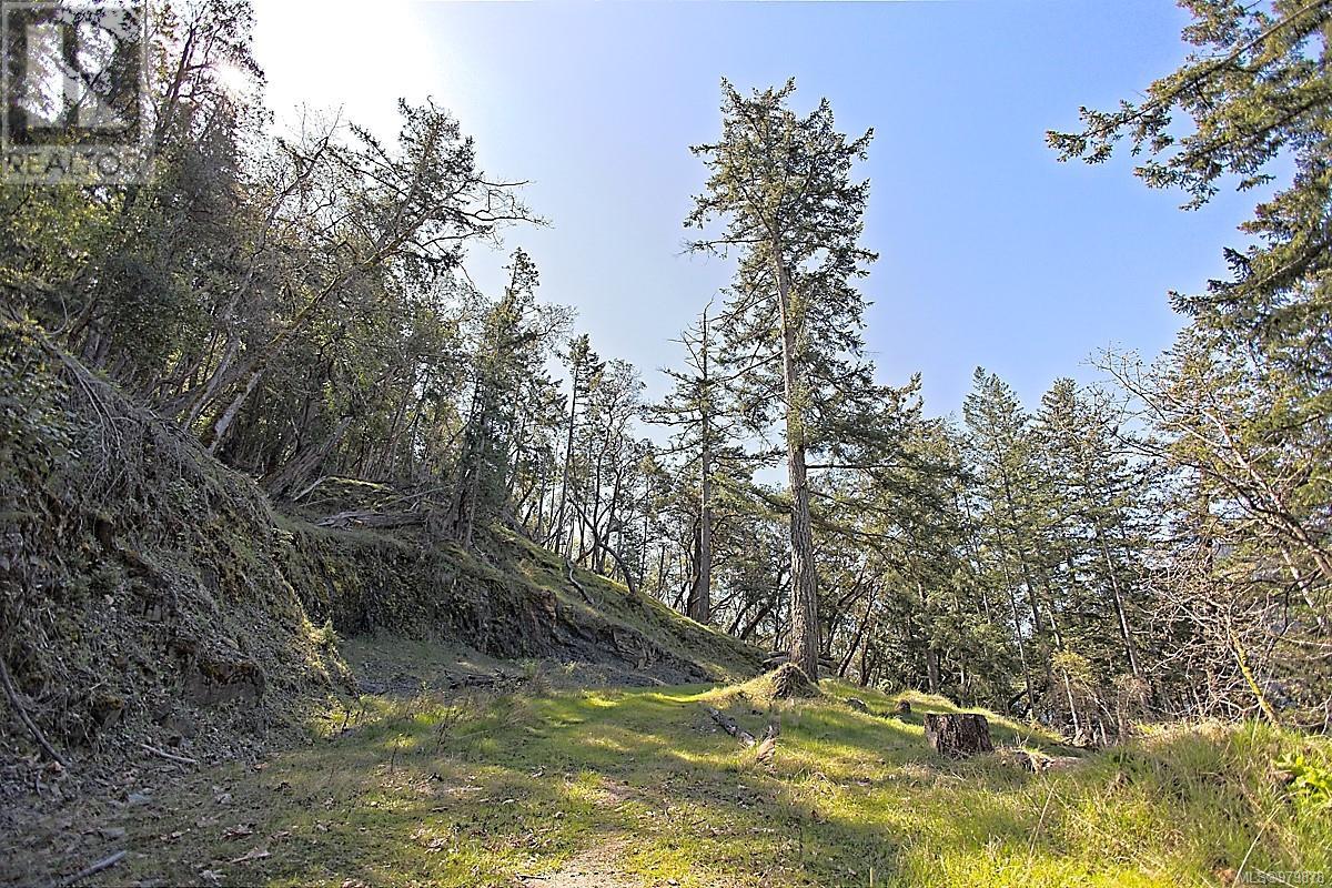 206 Narrows West Rd, Salt Spring, British Columbia  V8K 0A3 - Photo 11 - 979878