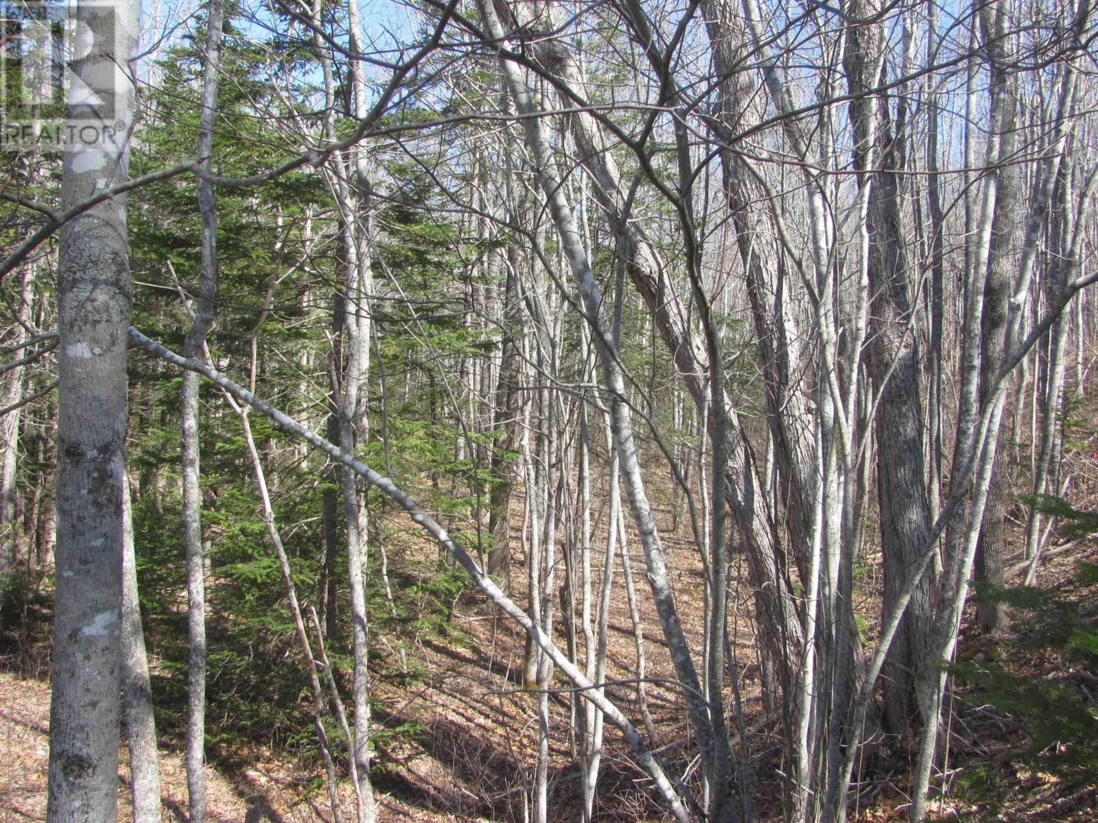 Lot Fuller Road, Bishopville, Nova Scotia  B0N 1L0 - Photo 17 - 202404398