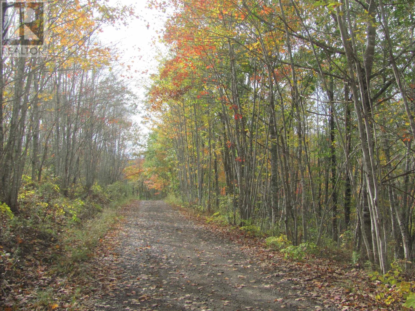 Lot Fuller Road, Bishopville, Nova Scotia  B0N 1L0 - Photo 26 - 202404398