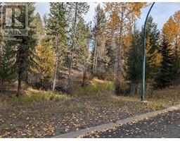 339 Poplar Drive Logan Lake