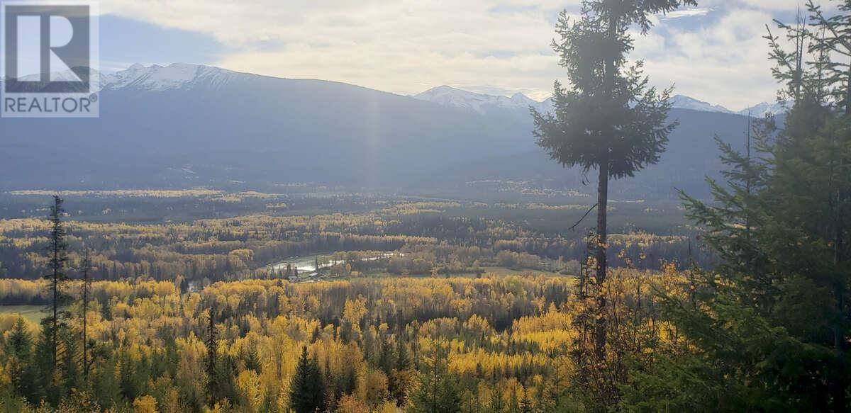 DL 6034 E MCBRIDE HIGHWAY 16E, valemount, British Columbia