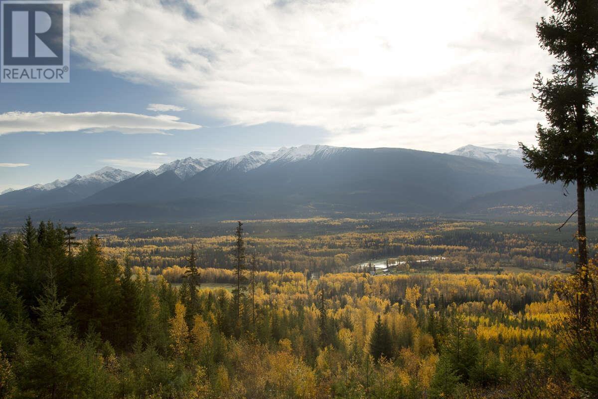 Dl 6034 E Mcbride Highway 16e, Valemount, British Columbia  V0E 2Z0 - Photo 15 - R2940855