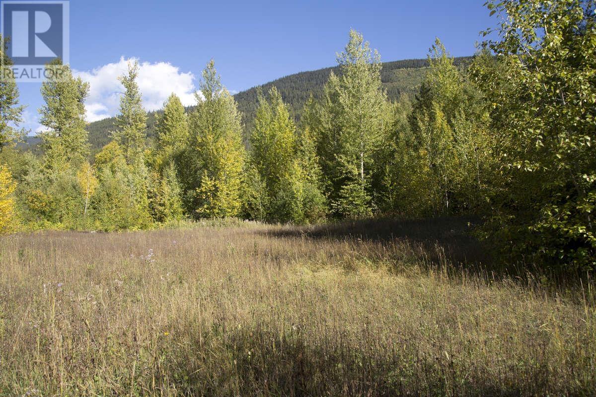 Dl 6034 E Mcbride Highway 16e, Valemount, British Columbia  V0E 2Z0 - Photo 24 - R2940855