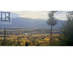 DL 6034 E MCBRIDE HIGHWAY 16E, valemount, British Columbia