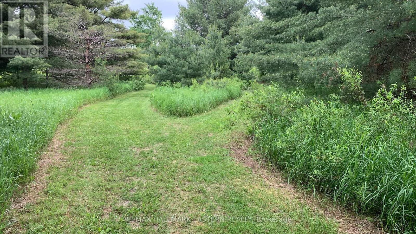 31 3rd Line, Havelock-Belmont-Methuen, Ontario  K0L 1Z0 - Photo 7 - X9514521