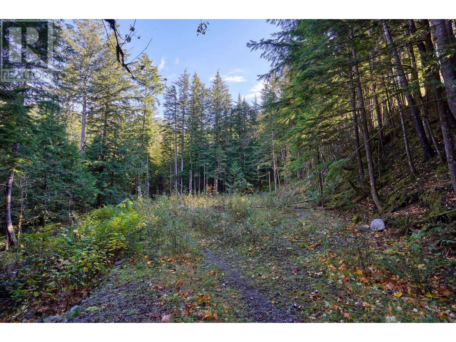 1017 Copper Drive, Britannia Beach, British Columbia  V8B 1J2 - Photo 11 - R2940906