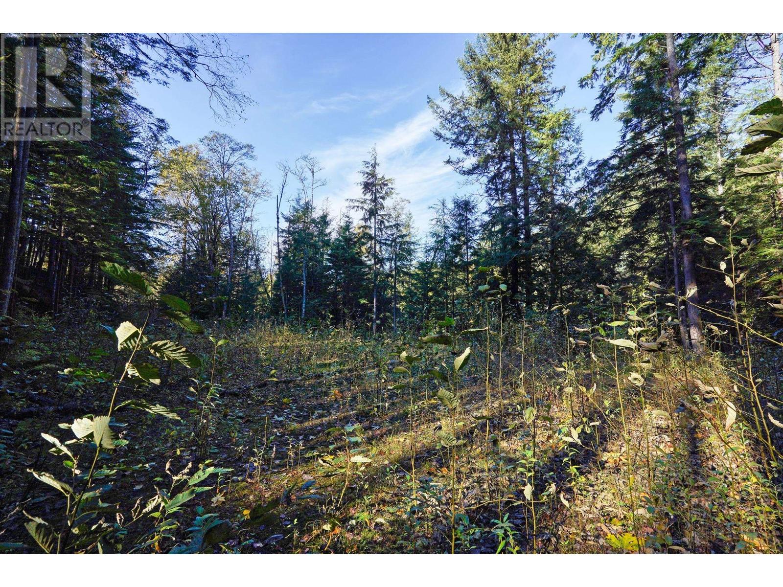 1017 Copper Drive, Britannia Beach, British Columbia  V8B 1J2 - Photo 12 - R2940906