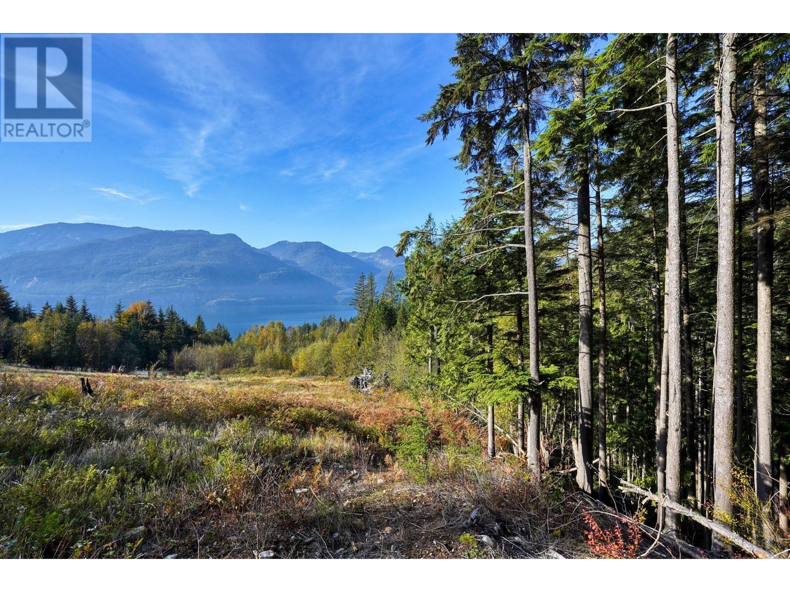1125 Copper Drive, Britannia Beach, British Columbia  V8B 1J2 - Photo 19 - R2940907