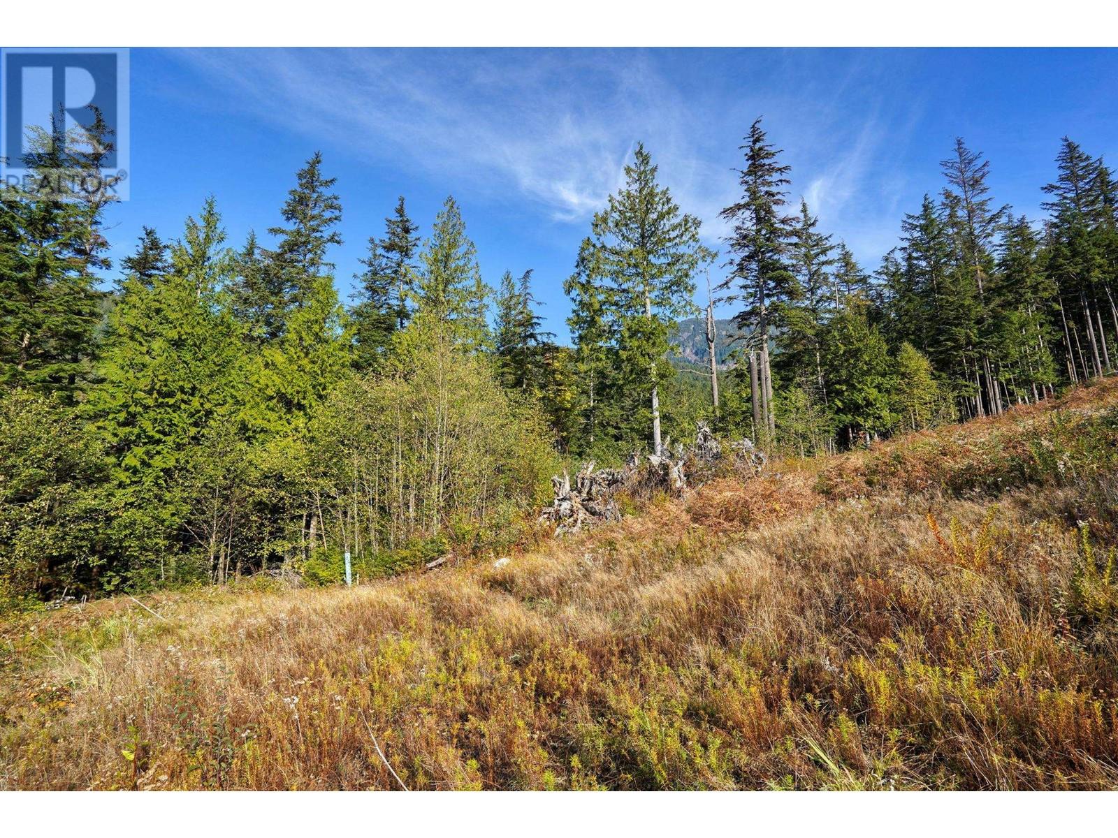 1125 Copper Drive, Britannia Beach, British Columbia  V8B 1J2 - Photo 21 - R2940907