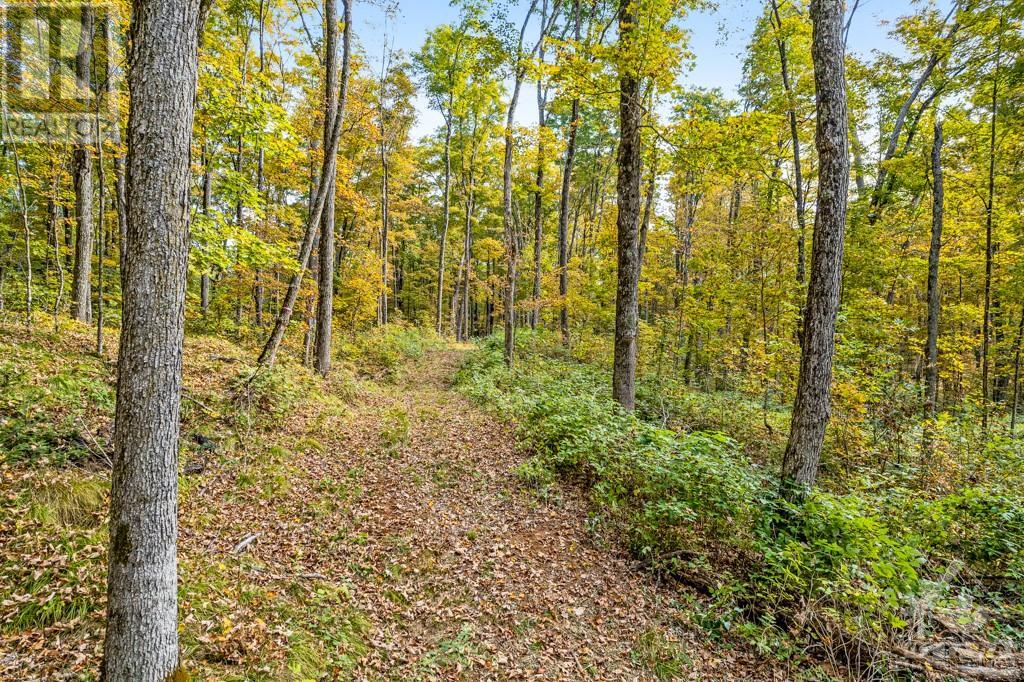 6637-B 506 Road, Frontenac (Frontenac North), Ontario  K0H 2M0 - Photo 12 - X10418952