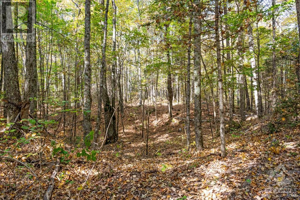6637-B 506 Road, Frontenac (Frontenac North), Ontario  K0H 2M0 - Photo 27 - X10418952