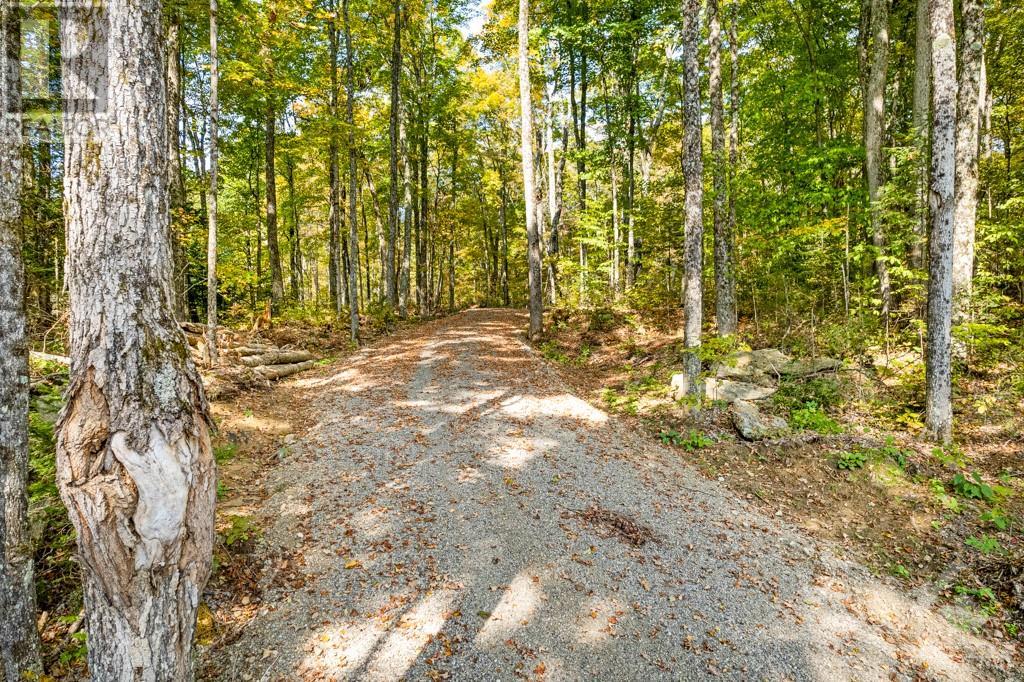 6637-B 506 Road, Frontenac (Frontenac North), Ontario  K0H 2M0 - Photo 8 - X10418952