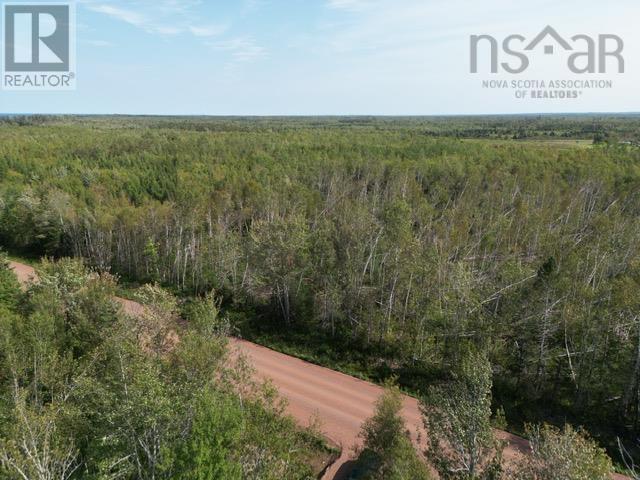 Hedgeville Road, Seafoam, Nova Scotia  B0K 1N0 - Photo 13 - 202321863