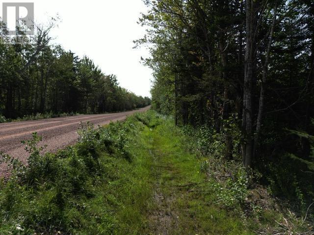 Hedgeville Road, Seafoam, Nova Scotia  B0K 1N0 - Photo 15 - 202321863